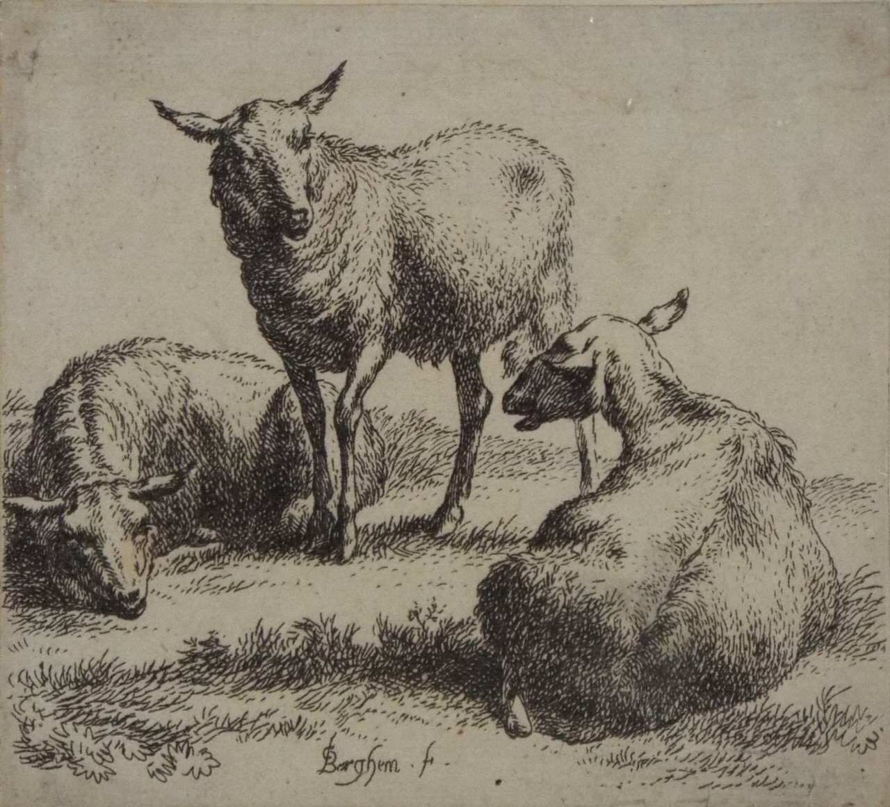 Etching - Three Sheep - Berchem
